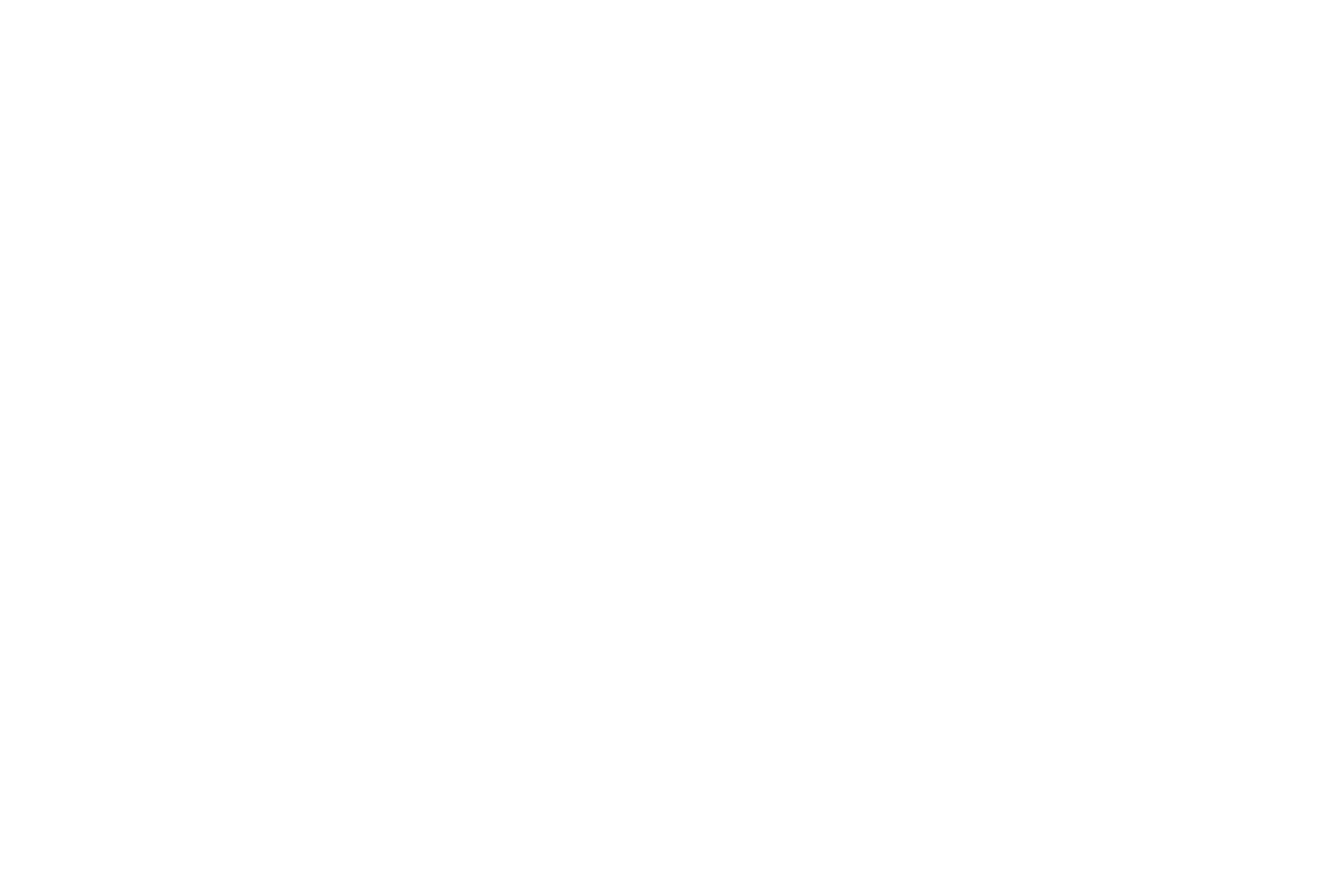 Xènia Camins · Consultoría Hotelera